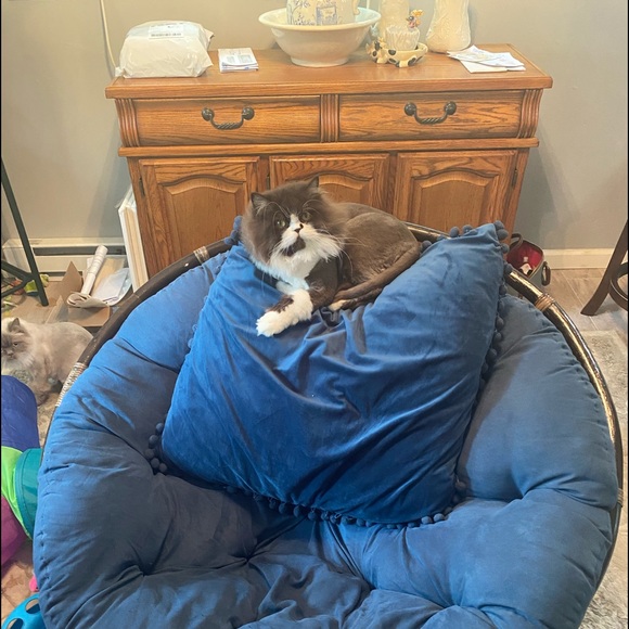 Meet your Posher, Laura - Picture 4 of 8